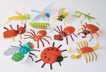 Insects